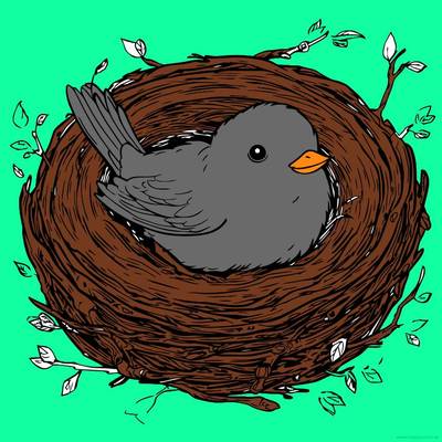 Versão colorida: Pássaro em um ninho aconchegante