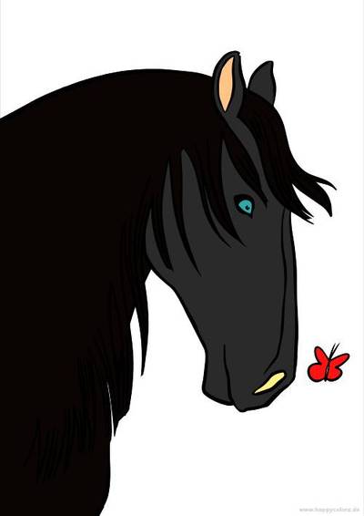 Ausgemalte Version: Pferdekopf mit Schmetterling