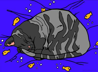 Versione colorata: American Shorthair che dorme