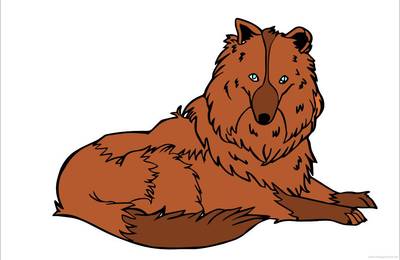 Versão colorida: Collie de pelo longo para colorir