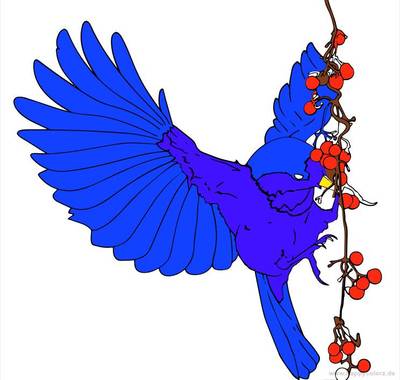 Farvelagt version: Fugl, der spiser bær