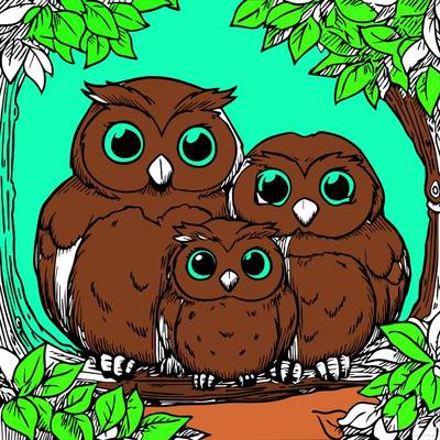 Versão colorida: Cena da família de corujas