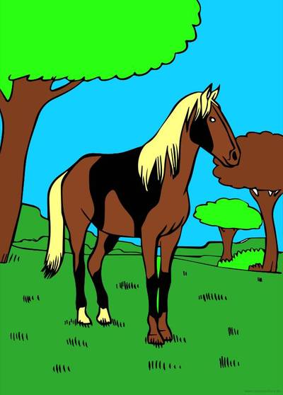 Ausgemalte Version: Schecke