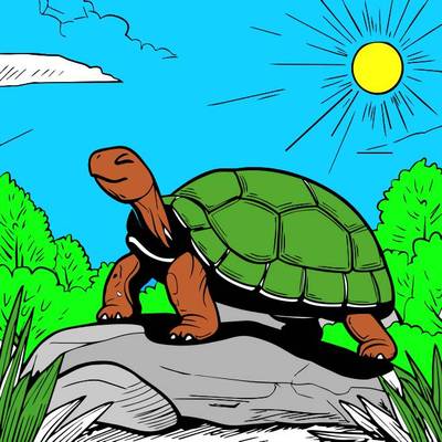 Ausgemalte Version: Fröhliche Schildkröte auf einem Felsen