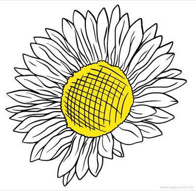 Fargelagt versjon: Solsikkehode