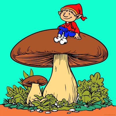 Ausgemalte Version: Elf auf einem Pilz