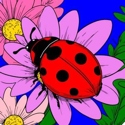 Colored version: Ladybug on flowers