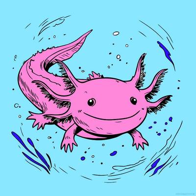 Wersja pokolorowana: Uroczy axolotl pływający
