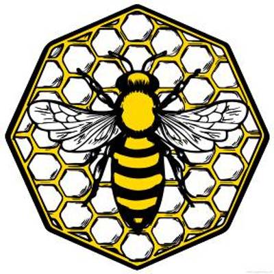 Versione colorata: Ape su favo di miele