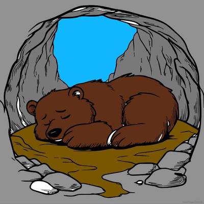 Farvelagt version: En bjørn hviler i en hule