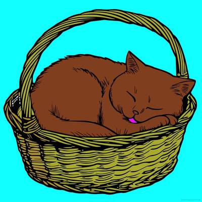Idée : Chat endormi panier – réalisé par un membre de Colomio