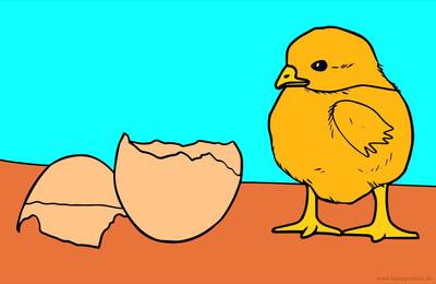 Versão colorida: Pintinho com casca de ovo para imprimir