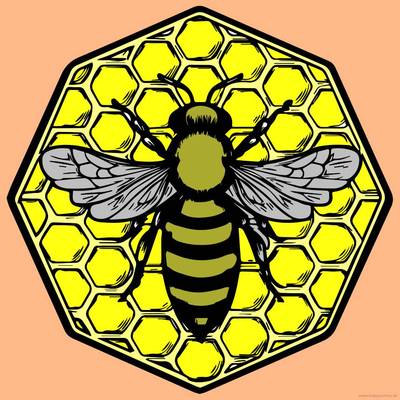 Väritetty versio: Mehiläinen hunajakenno