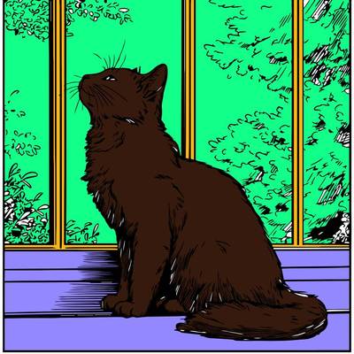 Ingekleurde versie: Kat bij het raam