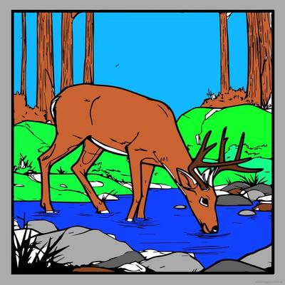 Versão colorida: Cervo perto da água
