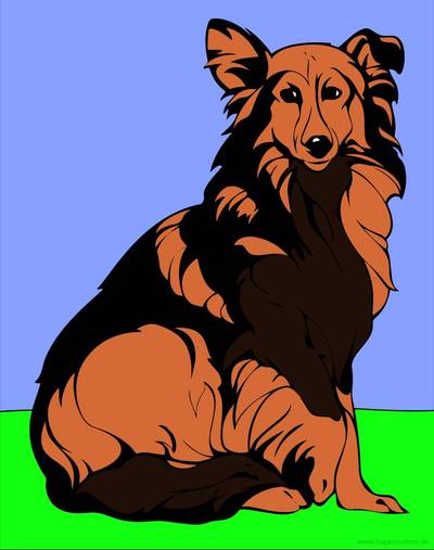 Colored version: Rough Collie
