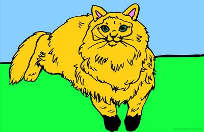 Ingekleurde versie: Ragdoll kat