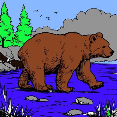 Farvelagt version: Bjørn ved floden