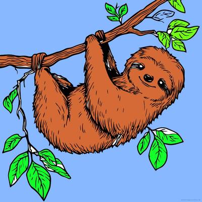 Versão colorida: Bicho-preguiça pendurado em um galho
