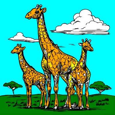 Versão colorida: Girafas em uma paisagem gramada