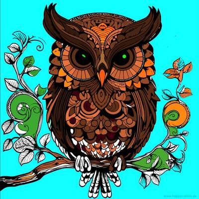 Ausgemalte Version: Eule auf Ast
