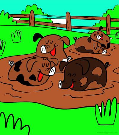 Idea: Siat mudassa – yhteisön jäsenen viimeistelemä