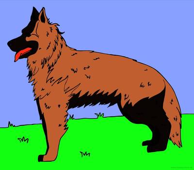 Ausgemalte Version: Schäferhund