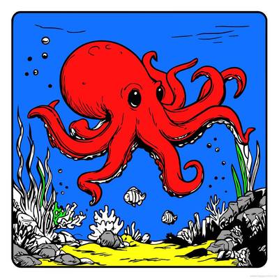 Example: Octopus Coloring Page – from the Colomio community