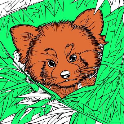 Colored version: Red panda
