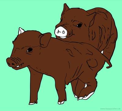 Ausgemalte Version: Ferkel-Paar