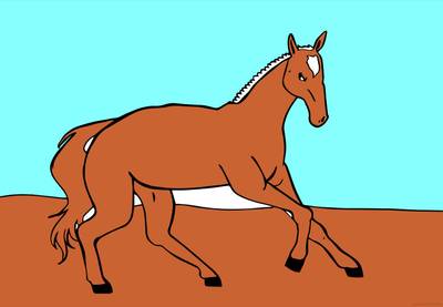 Ausgemalte Version: Fohlen im Trab