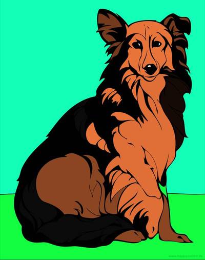 Ausgemalte Version: Collie