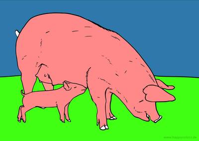 Ausgemalte Version: Sau mit Ferkel