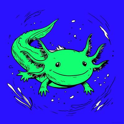 Colored version: Cute axolotl swimming