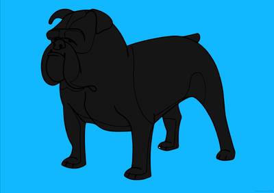 Ausgemalte Version: Bulldogge