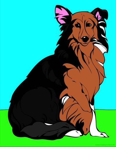 Ausgemalte Version: Collie