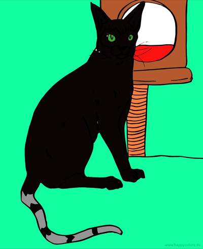 Farvelagt version: Siameserkat