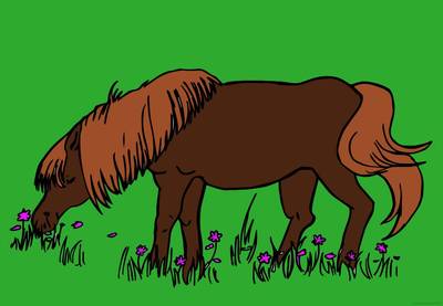 Ausgemalte Version: Grasendes Fohlen