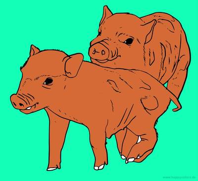 Ausgemalte Version: Ferkel-Paar