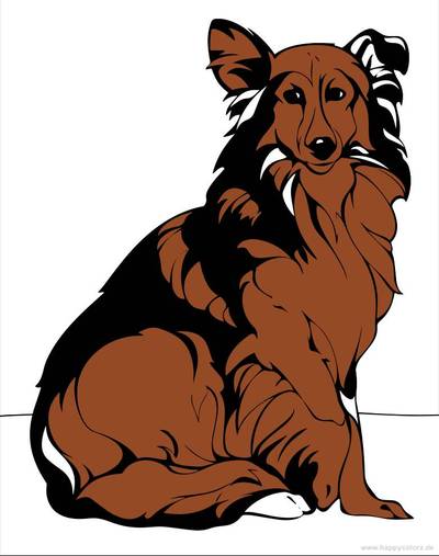 Ausgemalte Version: Collie