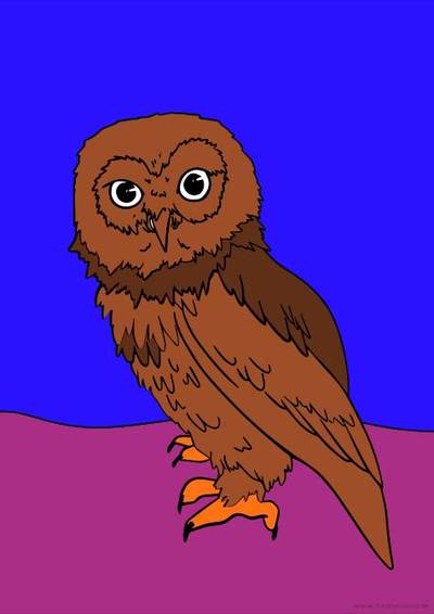 Versione colorata: Gufo di palude