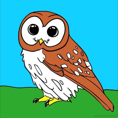 Versione colorata: Gufetto