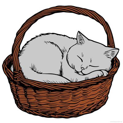 Idée : Chat endormi panier – réalisé par un membre de Colomio