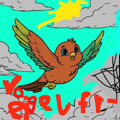 Versão colorida: Pássaro pairando no céu