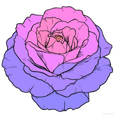 Ausgemalte Version: Blühende Rose