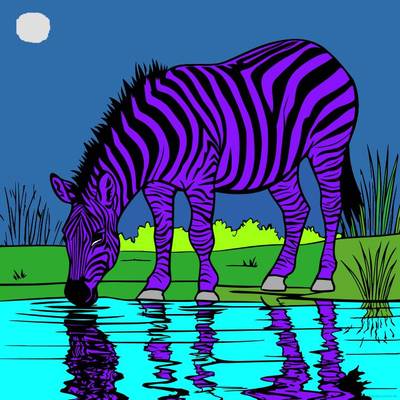 Version coloriée : Zèbre près de l’eau