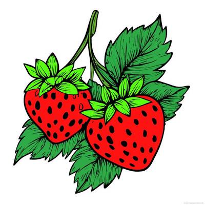 Ausgemalte Version: Zwei Erdbeeren – Illustration