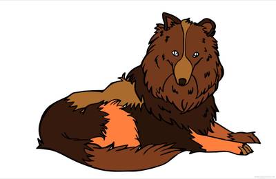 Ausgemalte Version: Liegender Collie