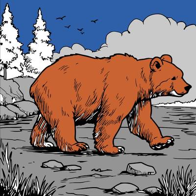 Ausgemalte Version: Bär am Fluss