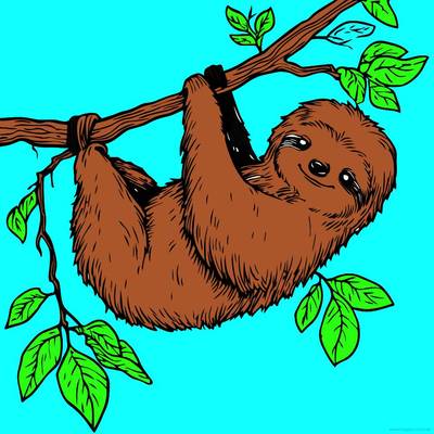 Colored version: Sloth hanging on a branch